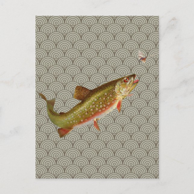 Flygfisket vintage regnbåge Trout Vykort (Framsida)