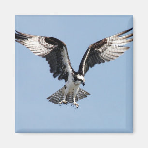 Flygfiskgjuse Magnet