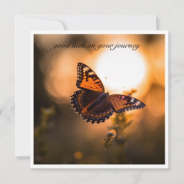 Flygfjäril in i solnedgången, anpassade