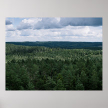 Flygfoto av grön nordisk skogsmiljö