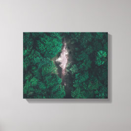 Flygfotot av grönt skog canvastryck