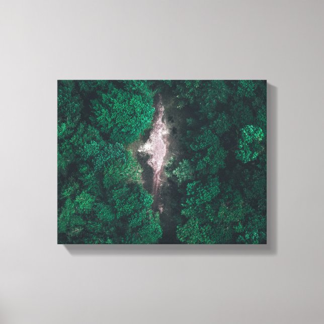 Flygfotot av grönt skog canvastryck (Framsida)