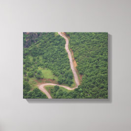 Flygfotot av skog canvastryck