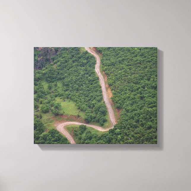 Flygfotot av skog canvastryck (Framsida)