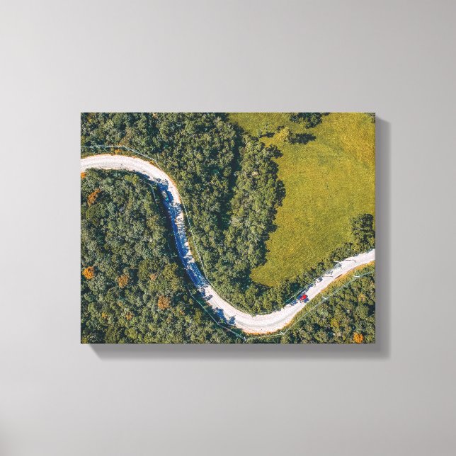 Flygfotot av träd under dagtid canvastryck (Framsida)