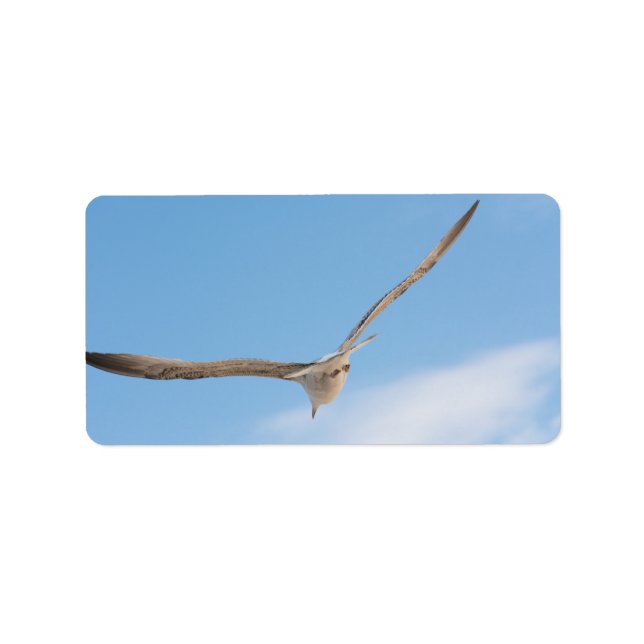 Flyggul Adressetikett (Framsidan)