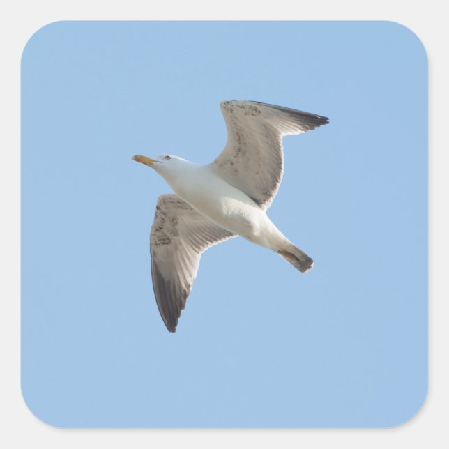 Flyggul Fyrkantigt Klistermärke (Framsida)