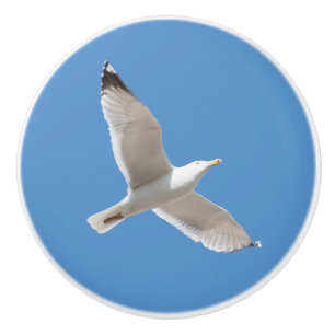 Flyggul Knopp
