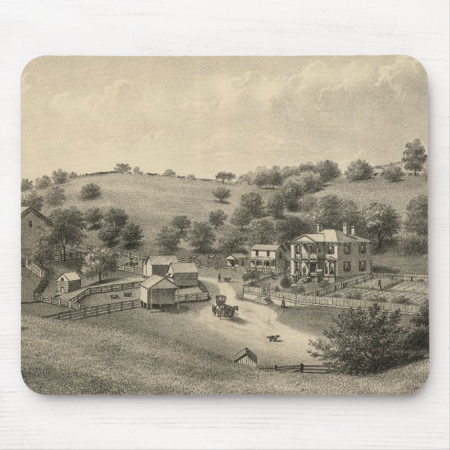 Flyghavre Musmatta (Framsidan)