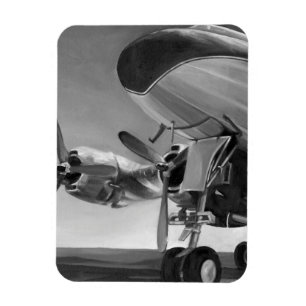 Flygikon Magnet