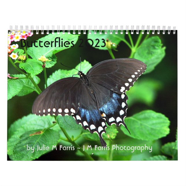 Flygkalender 2023 kalender (Omslag)