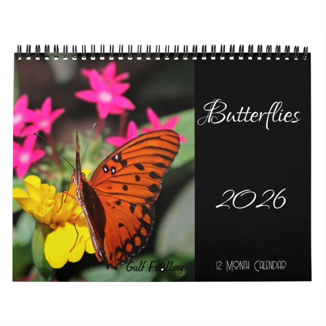 Flygkalender 2026 kalender (Omslag)