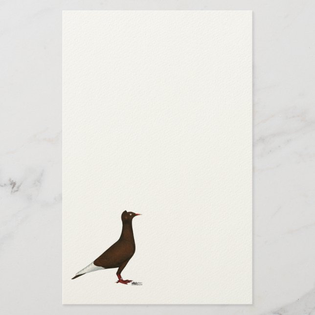 Flygkapsel Pigeon Brevpapper (Framsida)