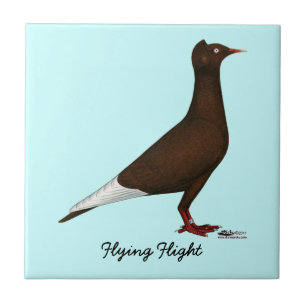 Flygkapsel Pigeon Kakelplatta