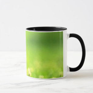 flygkattungen mugg