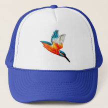 FlygKingfisher