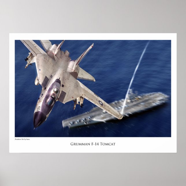 Flygkonstaffisch "F-14 Tomcat" Poster (Framsidan)