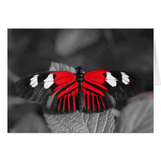 Flygkort Hälsningskort