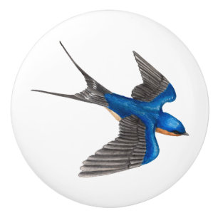 Flygladugårdsvala Knopp