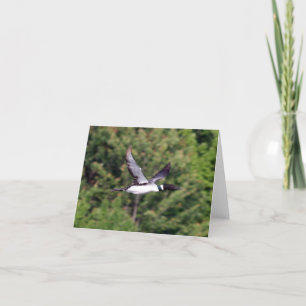 FlygLoon Notecard Kort