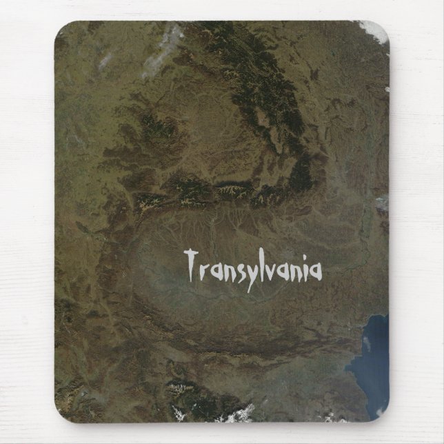 Flygmusmatta Transsylvanien Musmatta (Framsidan)
