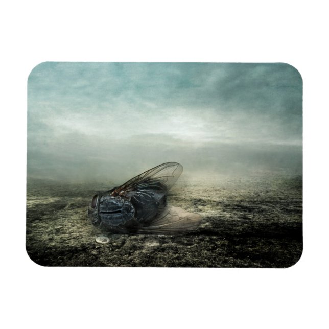 Flygning 2013 magnet (Horisontell)