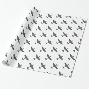 Flygning 5 wpcna presentpapper
