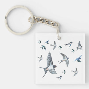 Flygning av Sväljande fågelillustration