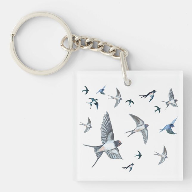 Flygning av Sväljande fågelillustration (Framsidan)