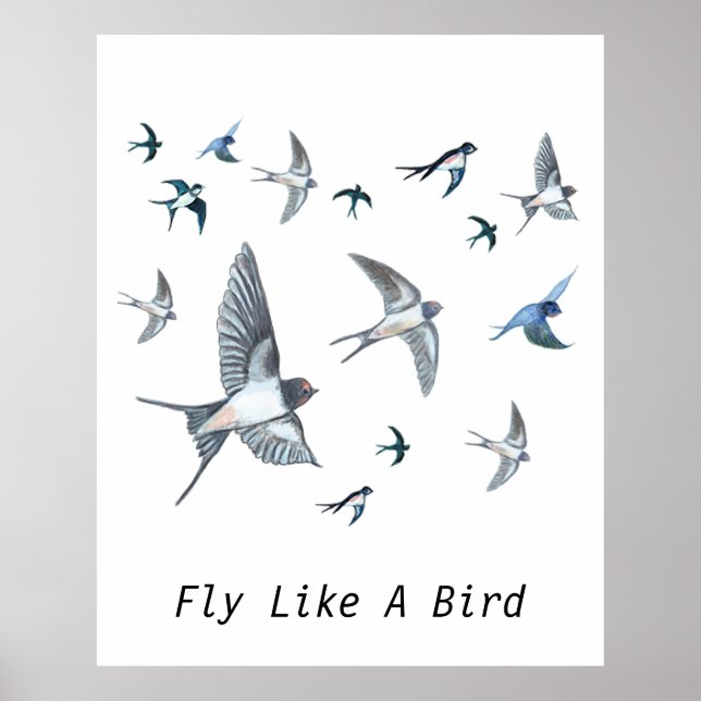Flygning av Sväljande fågelillustration Poster (Framsidan)