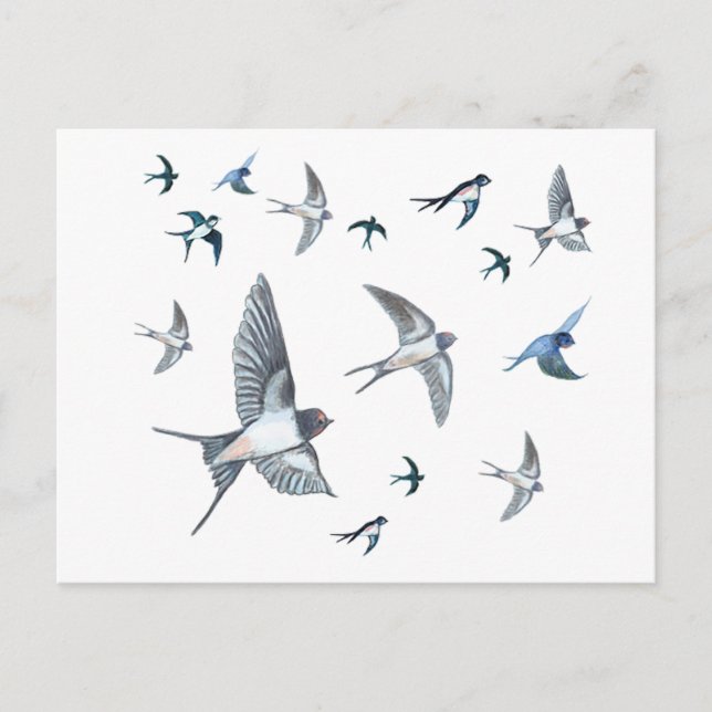 Flygning av Sväljande fågelillustration Vykort (Framsida)