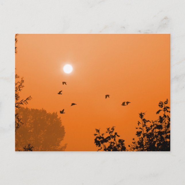 Flygning på dagligt vykort (Framsida)