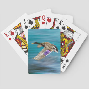 Flygning på Mallard anka Casinokort