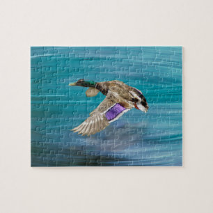 Flygning på Mallard anka Pussel