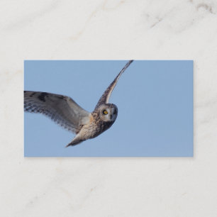 Flygningen i Kort-Eared Uggla Visitkort