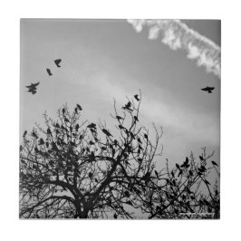 Flygningen Väg Kakelplatta