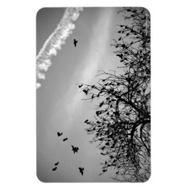Flygningen Väg Magnet