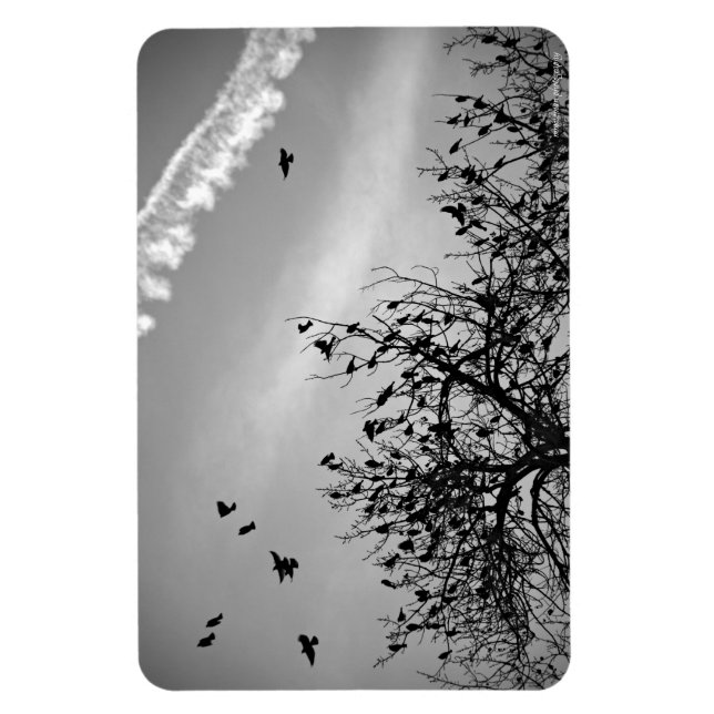 Flygningen Väg Magnet (Vertikal)