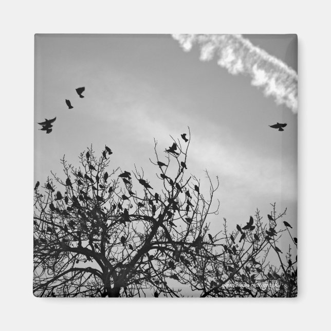 Flygningen Väg Magnet (Framsidan)