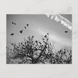 Flygningen Väg Vykort