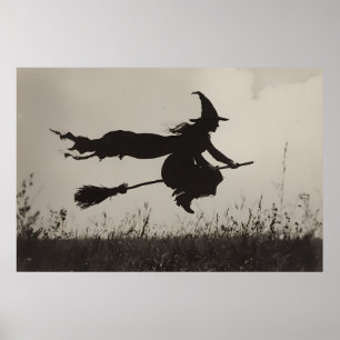 Flygningen - Viktigt Silhouette över Himmel Poster
