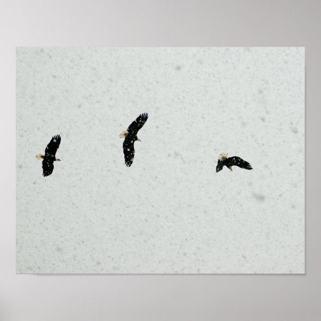 Flygningens anda poster (Framsidan)