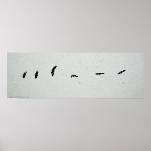 Flygningens anda poster