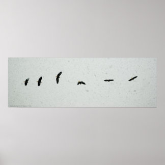 Flygningens anda poster