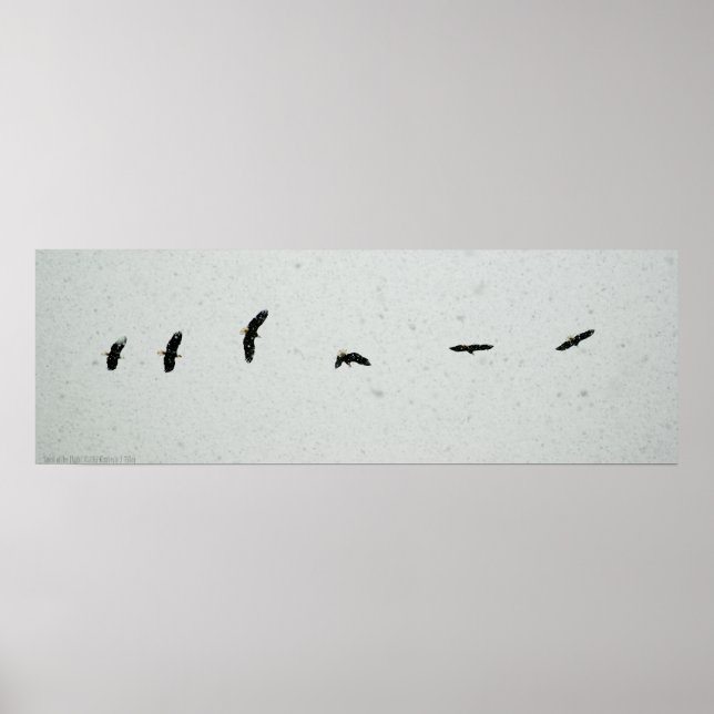 Flygningens anda poster (Framsidan)