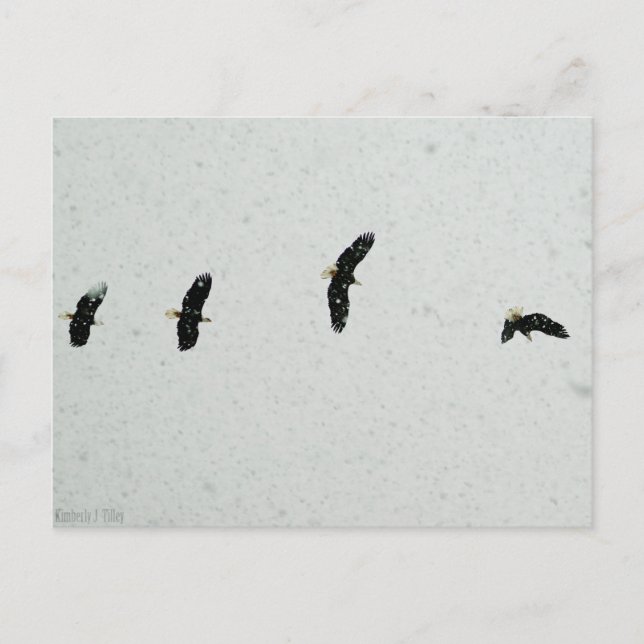 Flygningens anda vykort (Framsida)