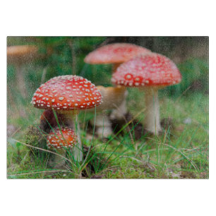 Flygoagisk i en skog, Closeup-foto