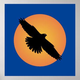Flygörn framför sol poster