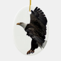 Flygörn