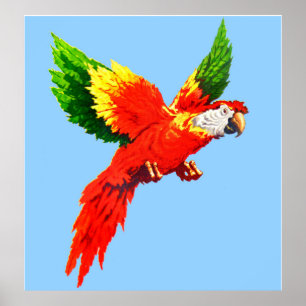flygpapegoja poster